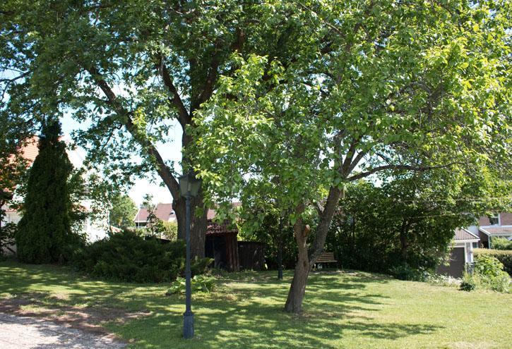 Katrinelunds Bed & Breakfast Vasteras Exterior photo